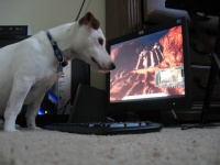 Name:  IMG_2619-1.jpg
Views: 487
Size:  13.2 KB